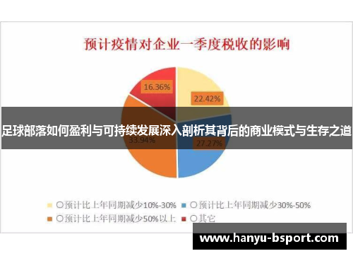 足球部落如何盈利与可持续发展深入剖析其背后的商业模式与生存之道