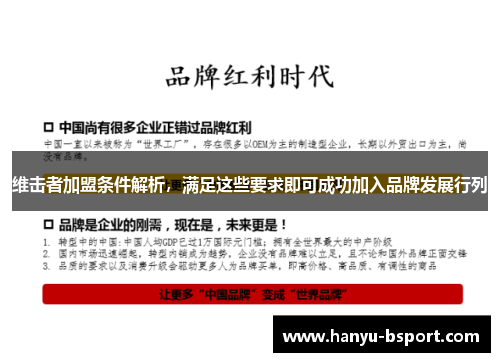 维击者加盟条件解析，满足这些要求即可成功加入品牌发展行列